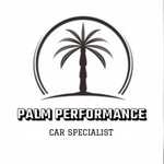 Palm performance ltd Logo